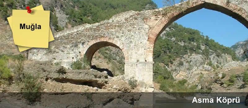 Asma Eski Köprü ( Tarihi Akköprü )