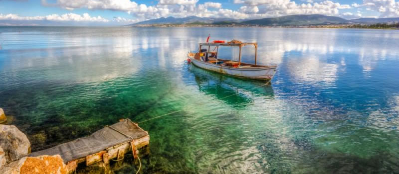 Experience the Flavor of Freedom in Urla