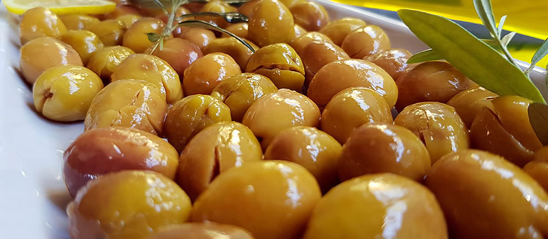 edremit_zeytin_kokulu_edremit